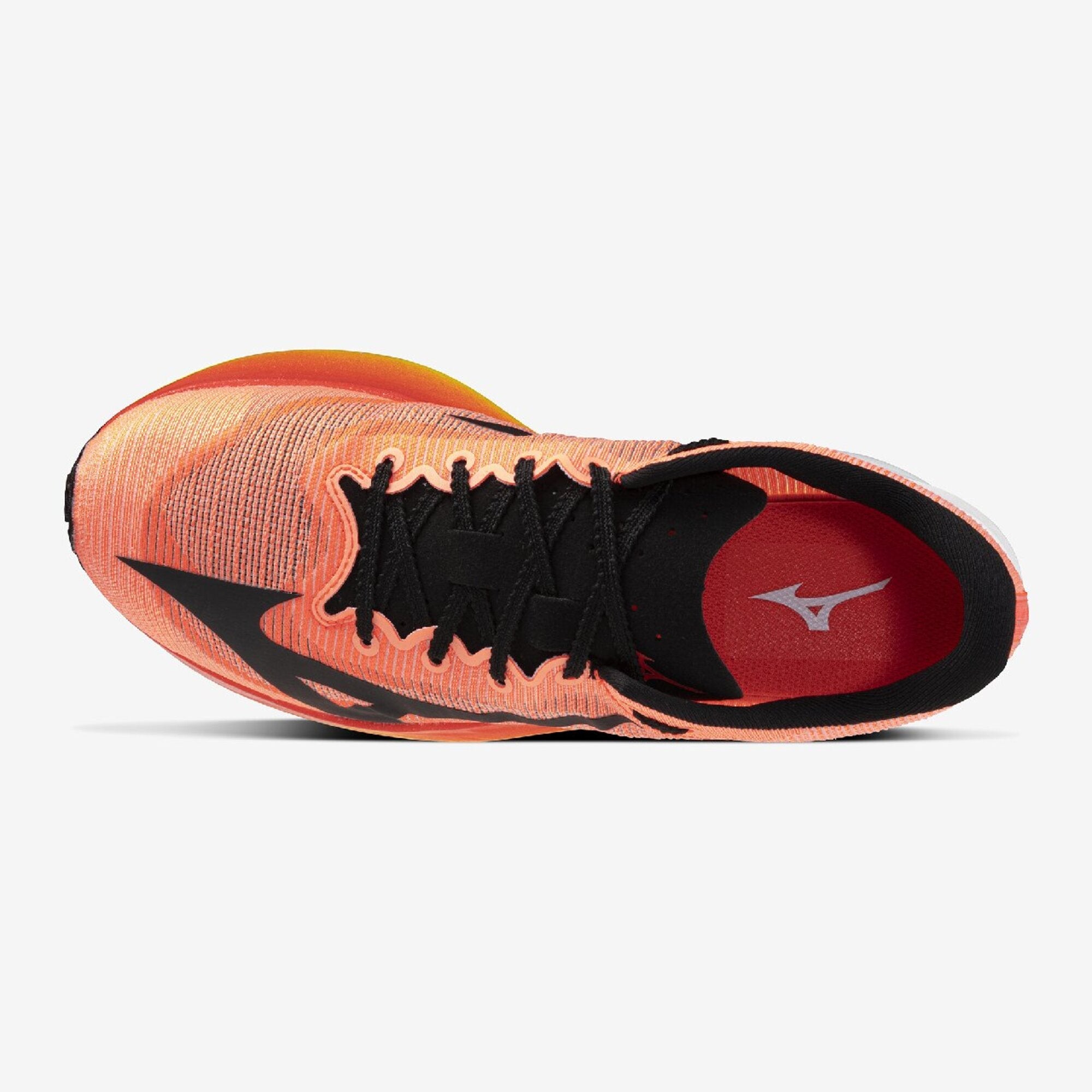 HYPERWARP ELITE - FOOTWEAR - SHOES