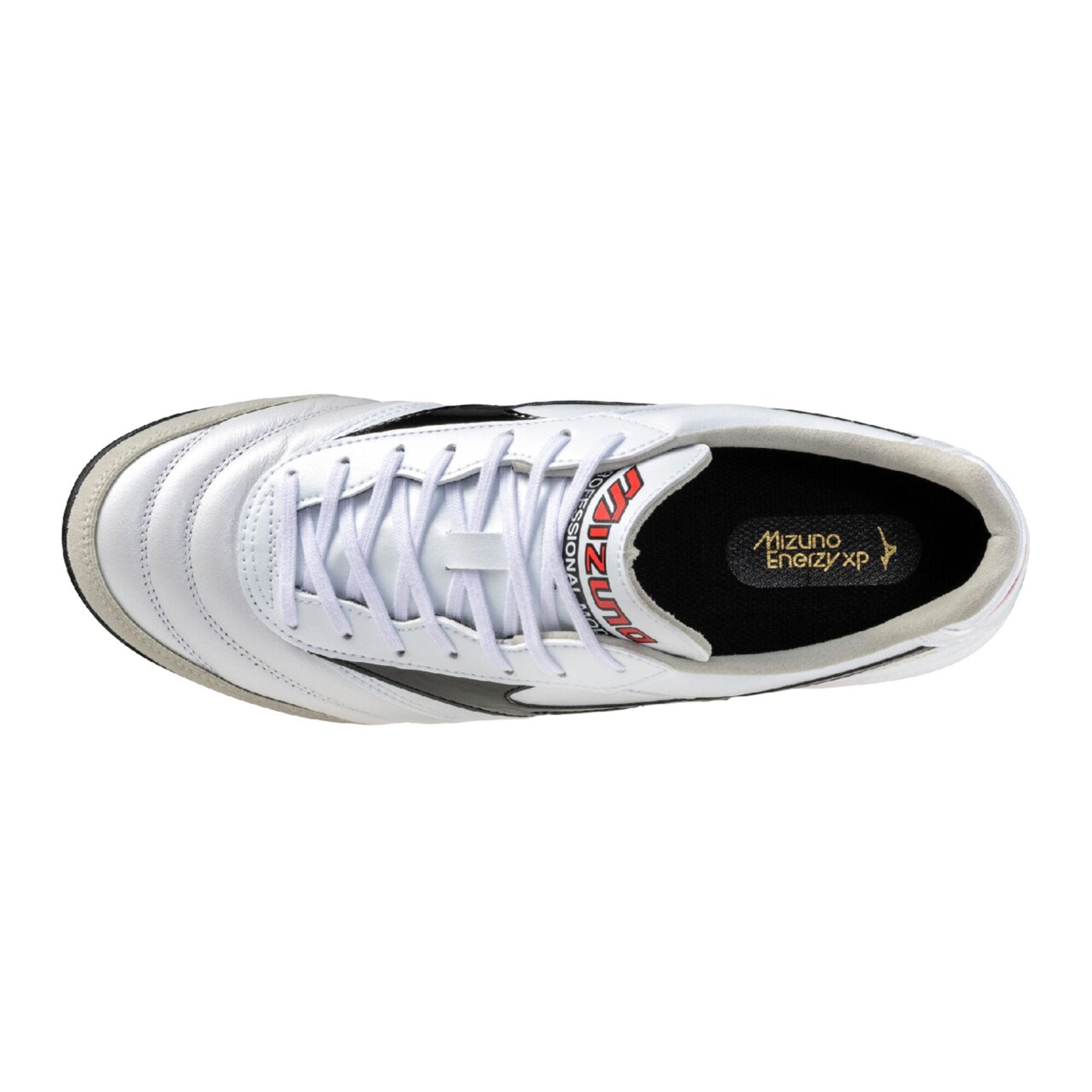 MORELIA SALA ELITE TF