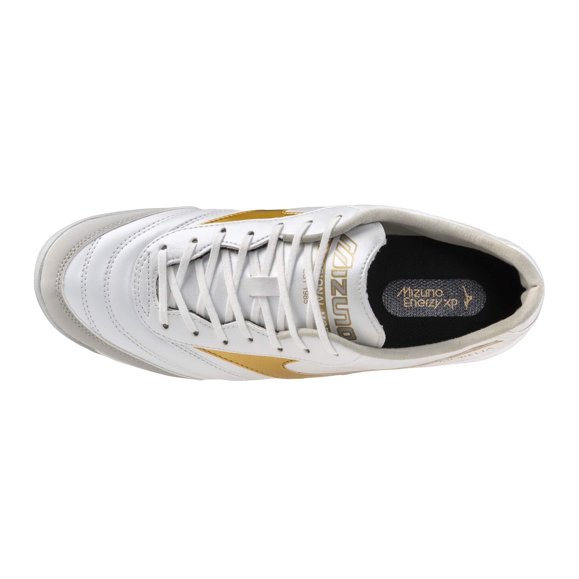 MORELIA SALA PRO TF
