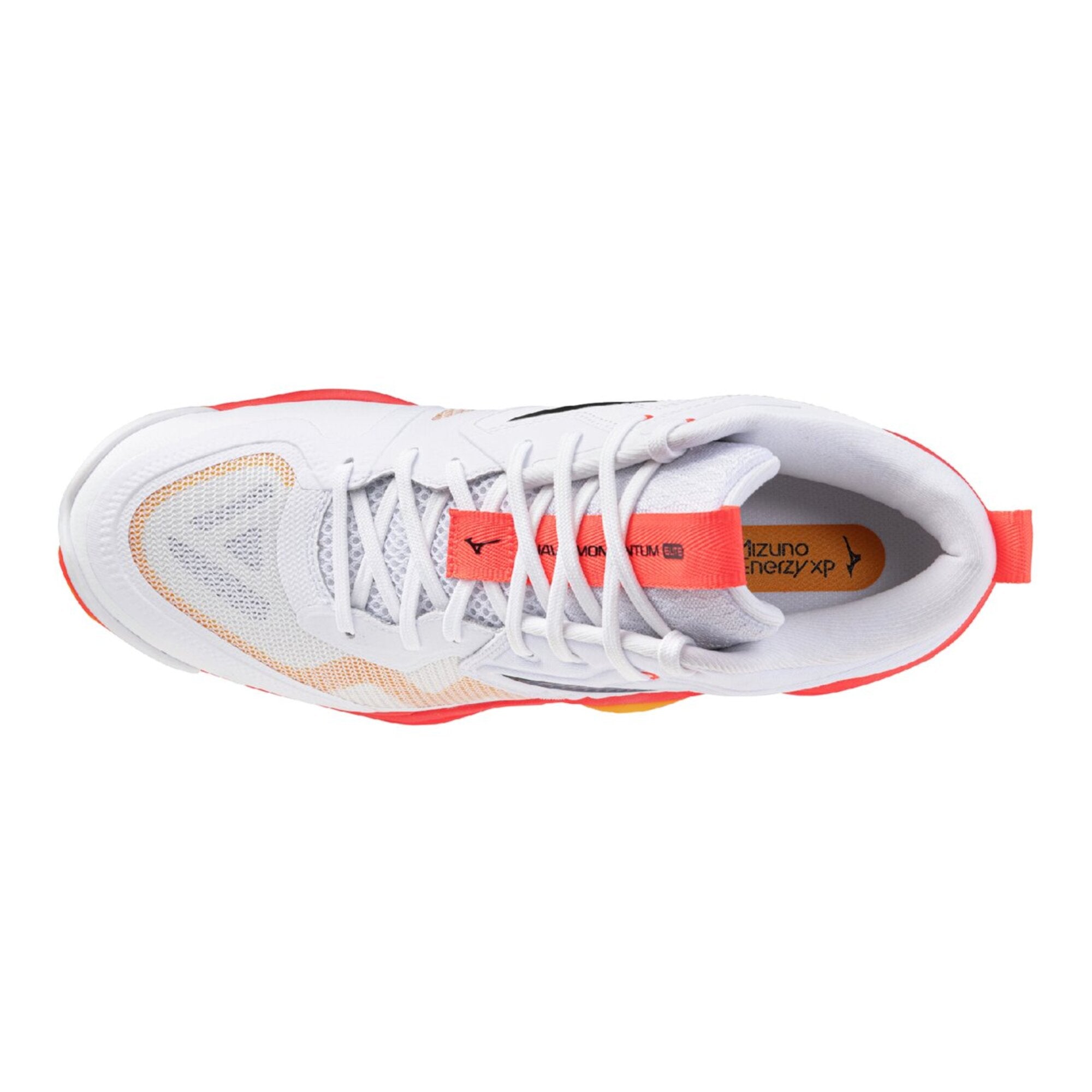 シューズ Mizuno WAVE MOMENTUM ELITE 25cm Amazon | [ミズノ] バレーボールシューズ ウエーブモーメンタムELITE